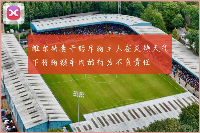维尔纳妻子怒斥狗主人在炎热天气下将狗锁车内的行为不负责任